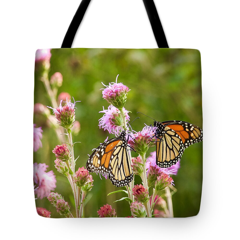 Monarch Tote Bag featuring the photograph Monarch Butterfly Pair square format by Hermes Fine Art