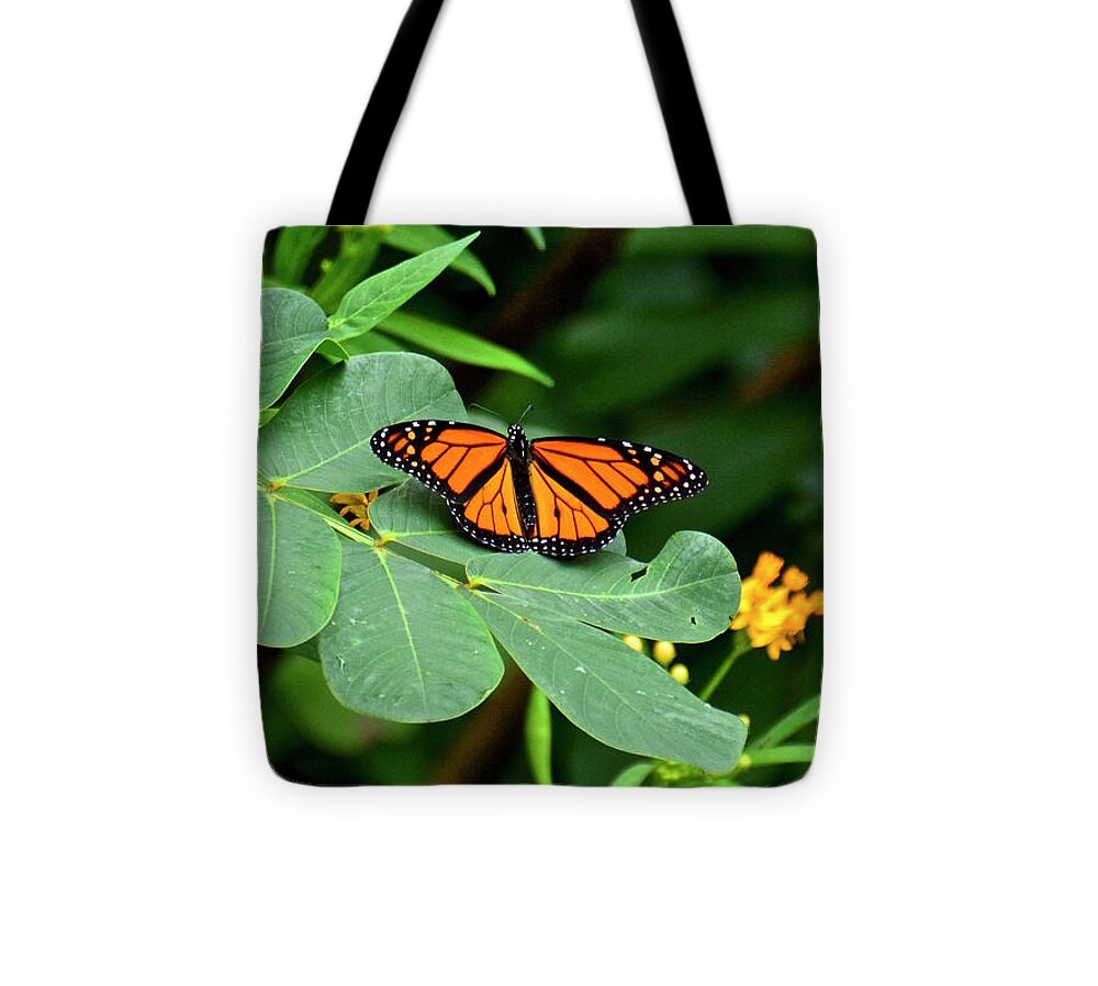 Monarch Butterfly Resting On Cassia Tree Leaf Tote Bag by Carol