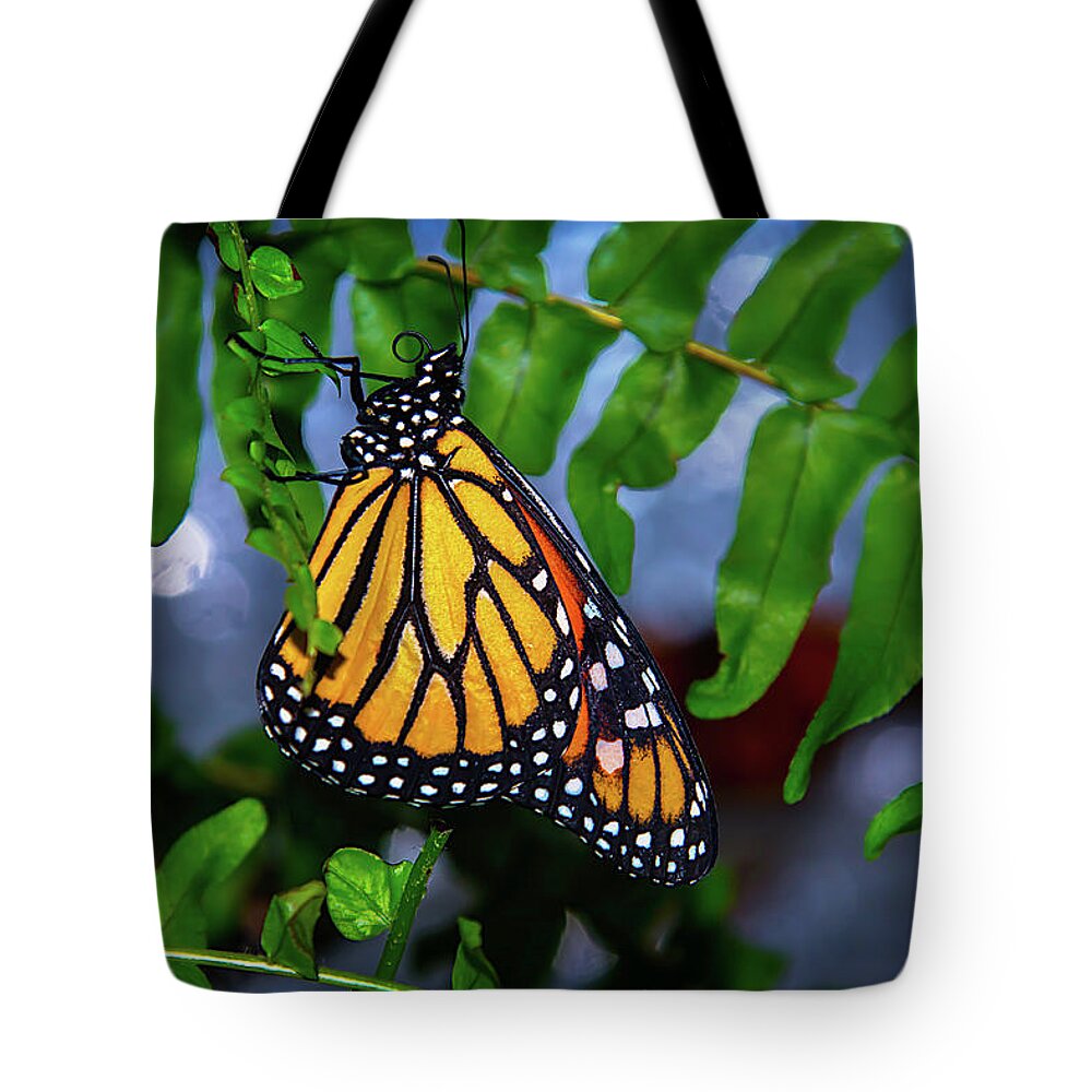 Hanging Tote Bag featuring the photograph Monarch Feeding by Garry Gay