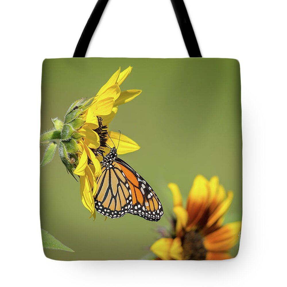 Cheryl Baxter Photography Tote Bag featuring the photograph Monarch Landscape by Cheryl Baxter