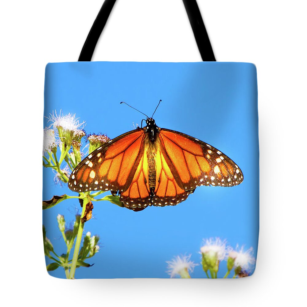 Monarch Tote Bag featuring the photograph Monarch by Mark Andrew Thomas