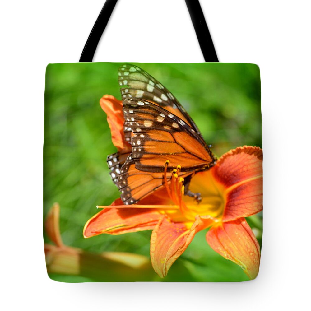  Monarch Tote Bag featuring the photograph Monarch Minutes by Kimberly Woyak