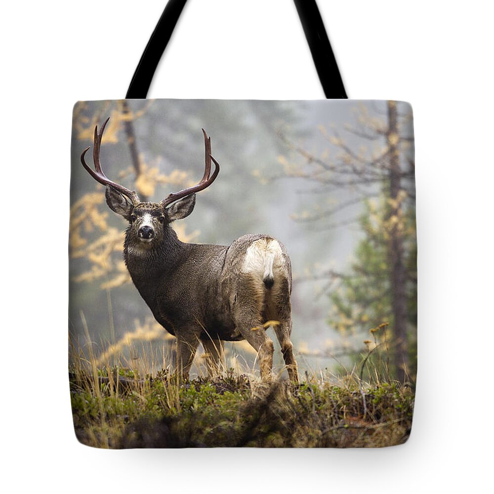 Mule Deer Tote Bag featuring the photograph Monarch of the Mountain by Douglas Kikendall