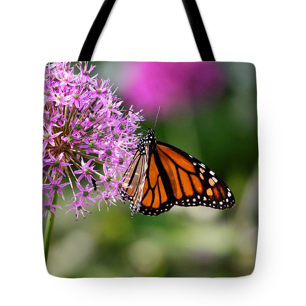 Monarch Tote Bag featuring the photograph Monarch on Allium by Brook Burling