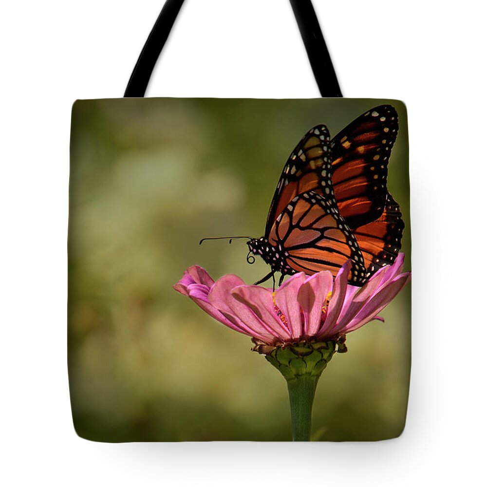 Antenna Tote Bag featuring the photograph Monarch on Pink Zinnia by Ann Bridges