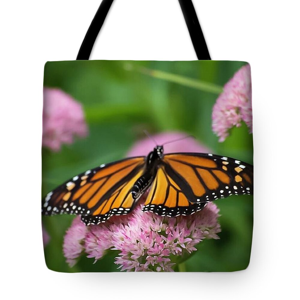 Monarch Tote Bag featuring the photograph Monarch on Sedum by Terri Hart-Ellis