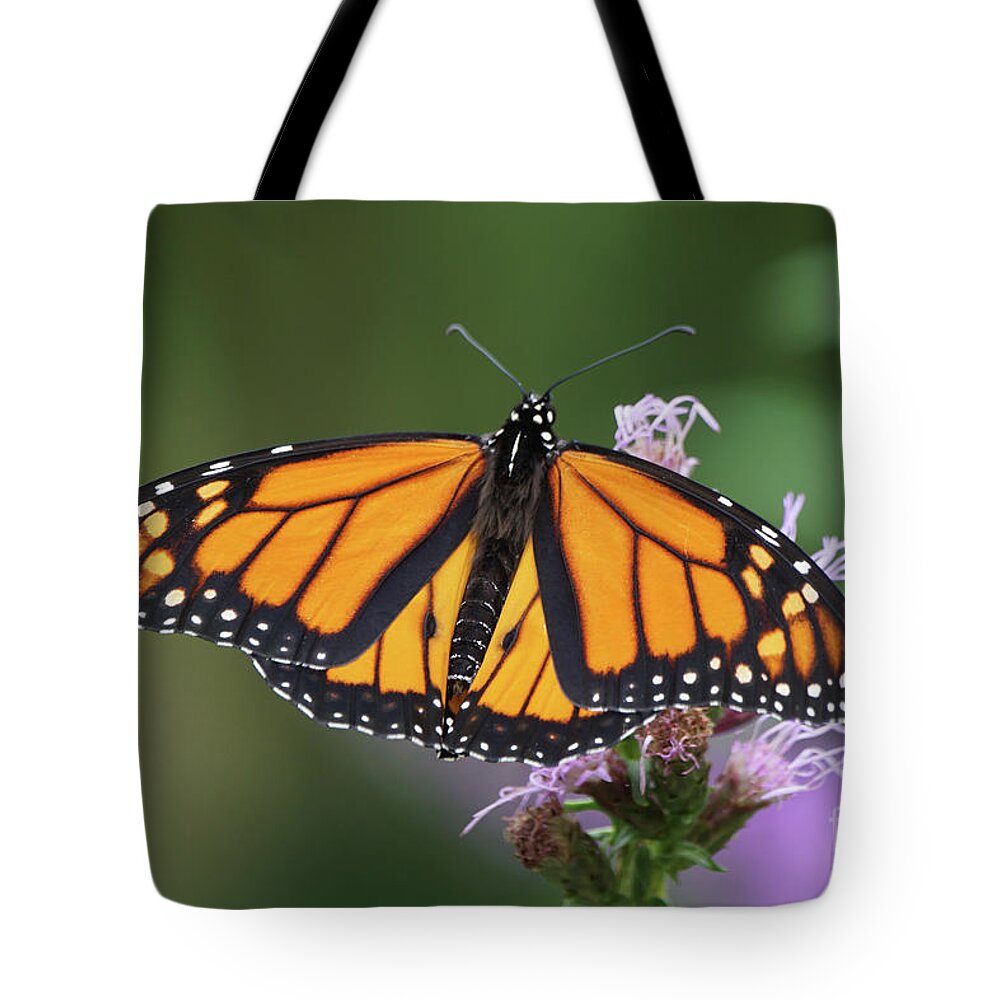 Monarch Butterfly Tote Bag featuring the photograph Monarch on Spiked Blazing Star by Robert E Alter Reflections of Infinity