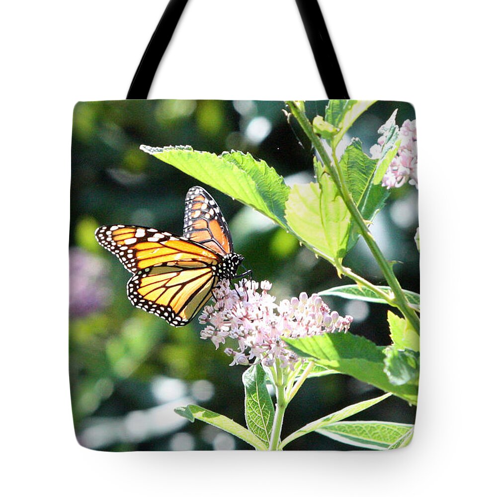Butterflies Tote Bag featuring the photograph Monarch1 by Captain Debbie Ritter