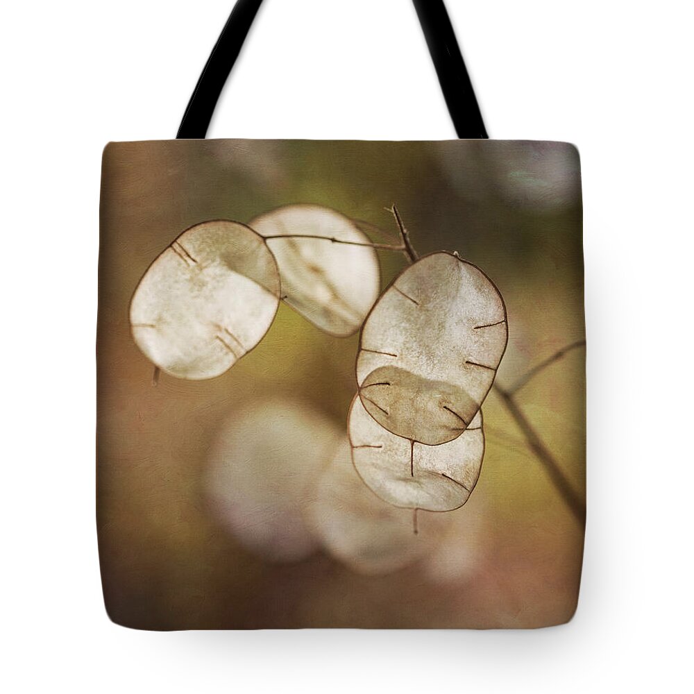 Money Plant Tote Bag featuring the photograph Money Plant by Dale Kincaid