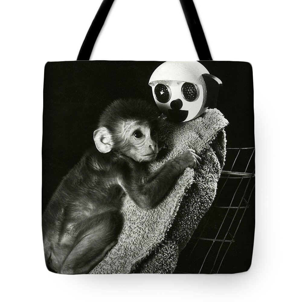 Animal Research Tote Bag featuring the photograph Monkey Research by Photo Researchers, Inc.