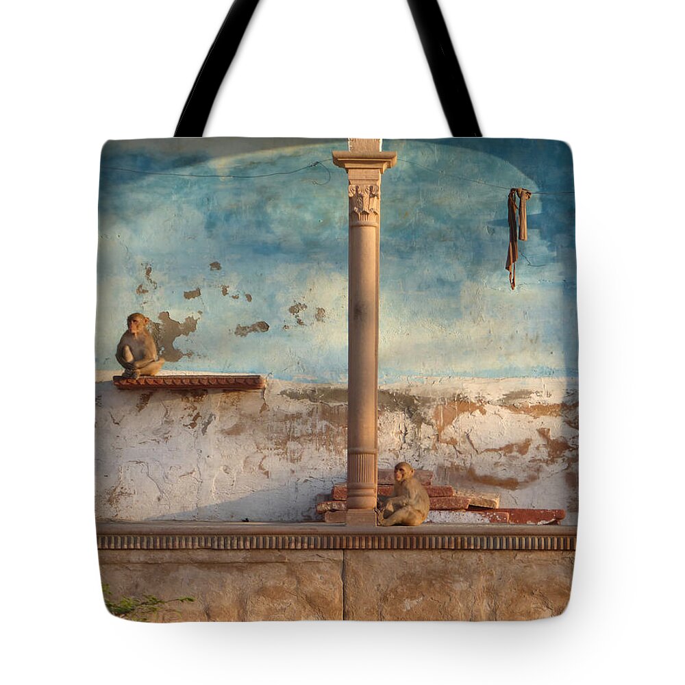 Monkey Tote Bag featuring the photograph Monkeys at sunset by Jean luc Comperat