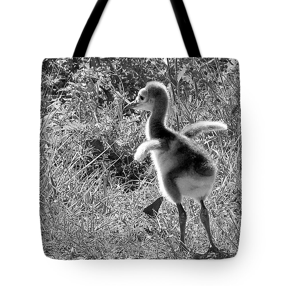 Sandhill Crane Tote Bag featuring the photograph Monochrome Baby Sandhill Crane  by Christopher Mercer