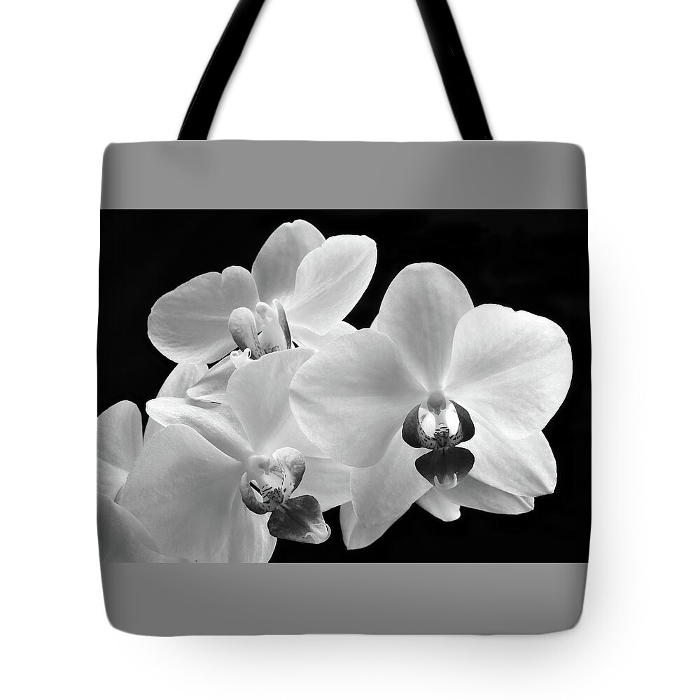 Orchid Tote Bag featuring the photograph Monochrome Orchid by Terence Davis
