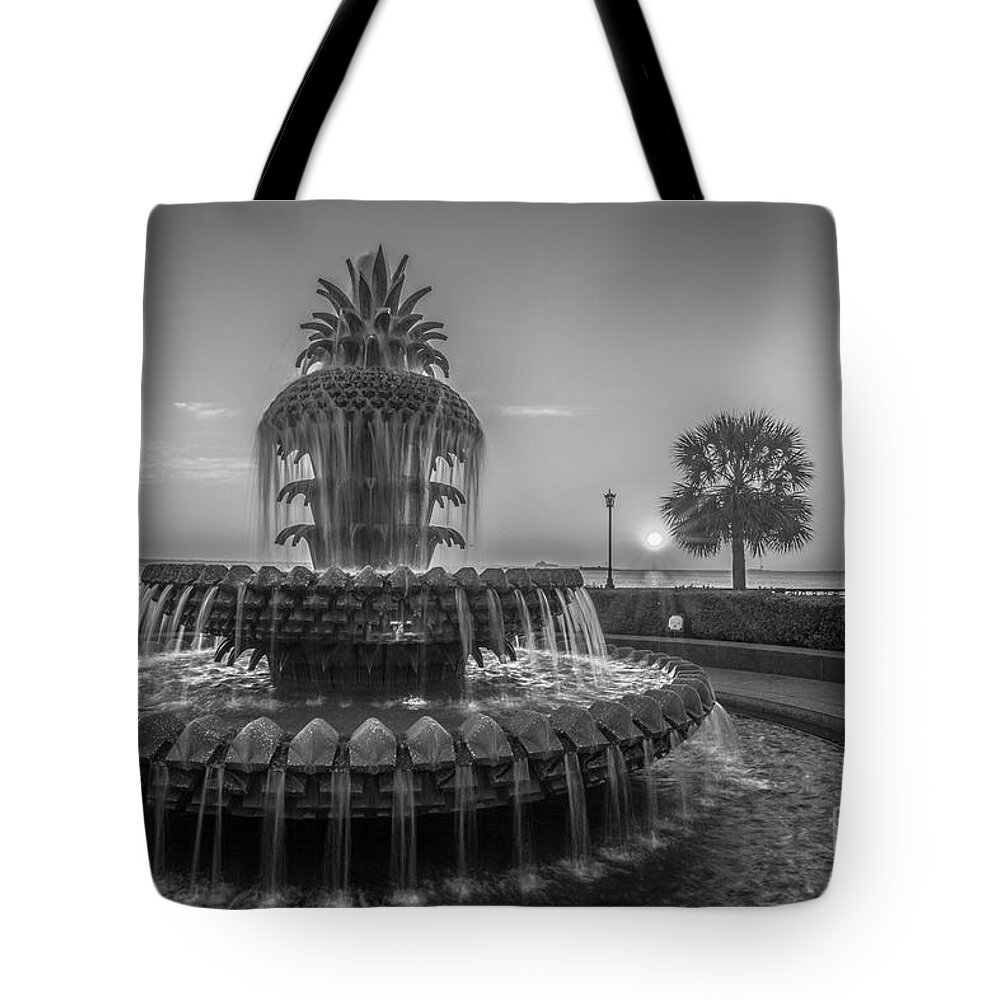 Pineapple Fountain Tote Bag featuring the photograph Monochrome Pineapple by Dale Powell