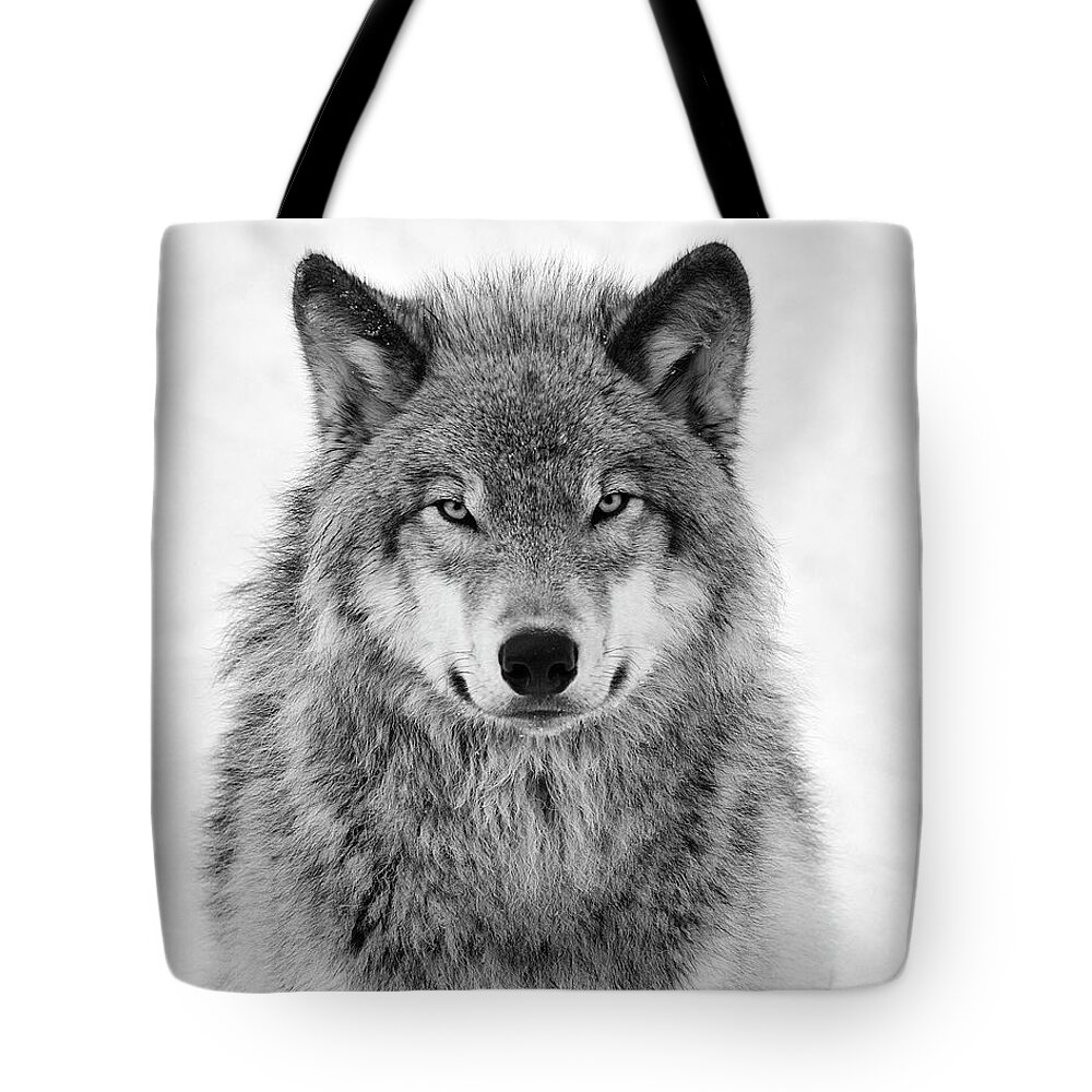 #faatoppicks Tote Bag featuring the photograph Monotone Timber Wolf by Tony Beck