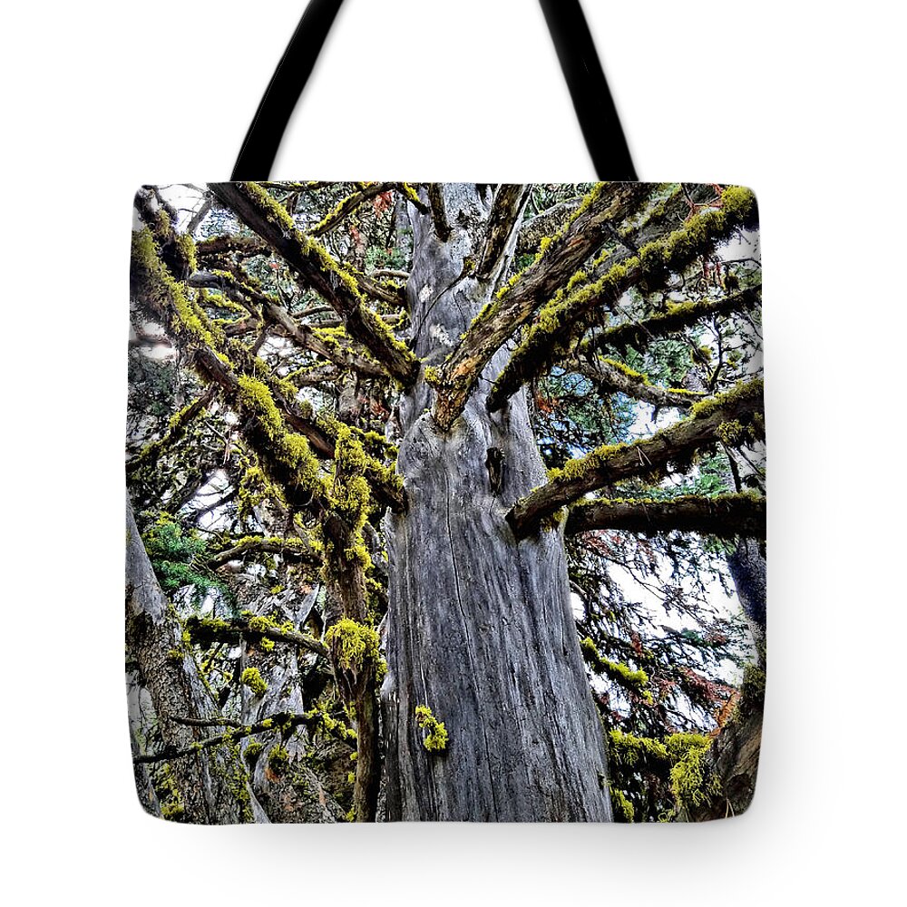 Kings Hill Tote Bag featuring the digital art Monster Tree by Susan Kinney