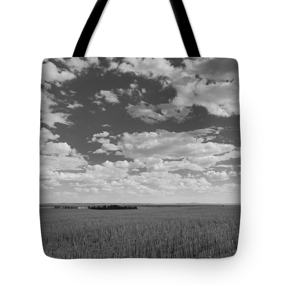 Agriculture Tote Bag featuring the photograph Montana, Big Sky Country by Scott Slone