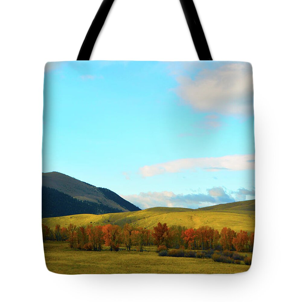  Tote Bag featuring the photograph Montana Fall Trees by Brian O'Kelly
