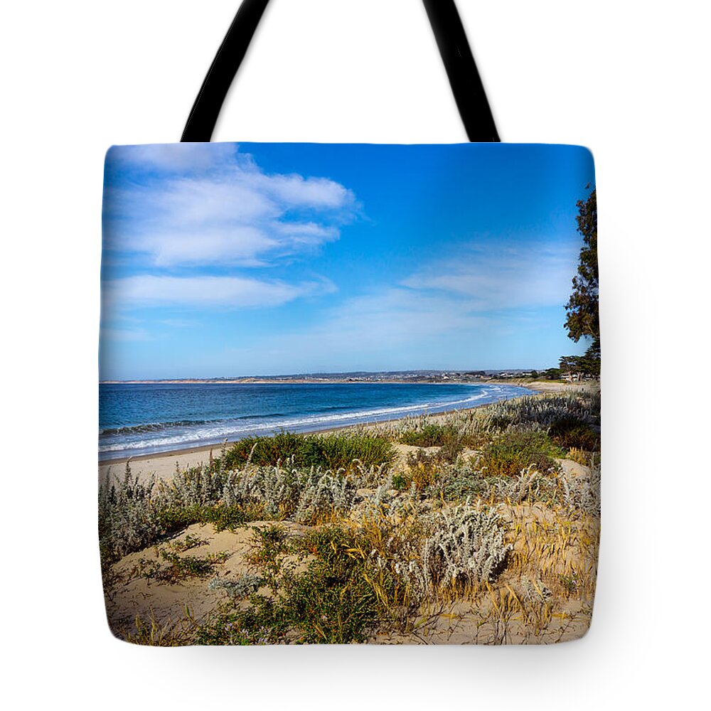 California Tote Bag featuring the photograph Monterey Beach and Flora by Derek Dean