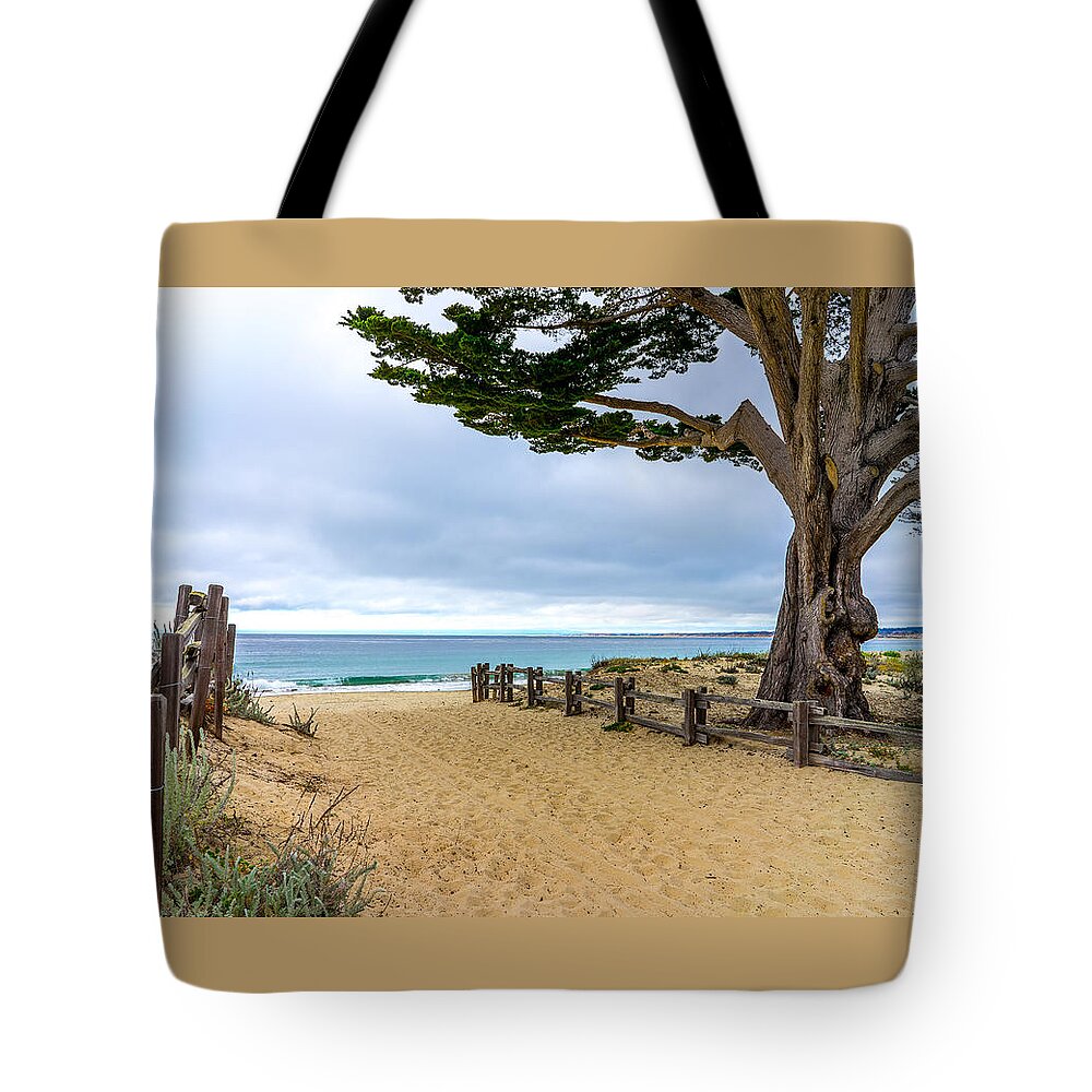 Seascape Tote Bag featuring the photograph Monterey Day by Derek Dean