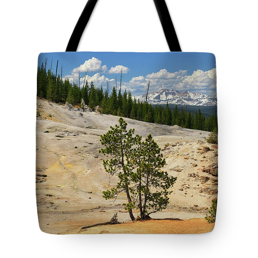 Monument Geyser Basin Tote Bag featuring the photograph Monument Geyser Basin by Greg Norrell