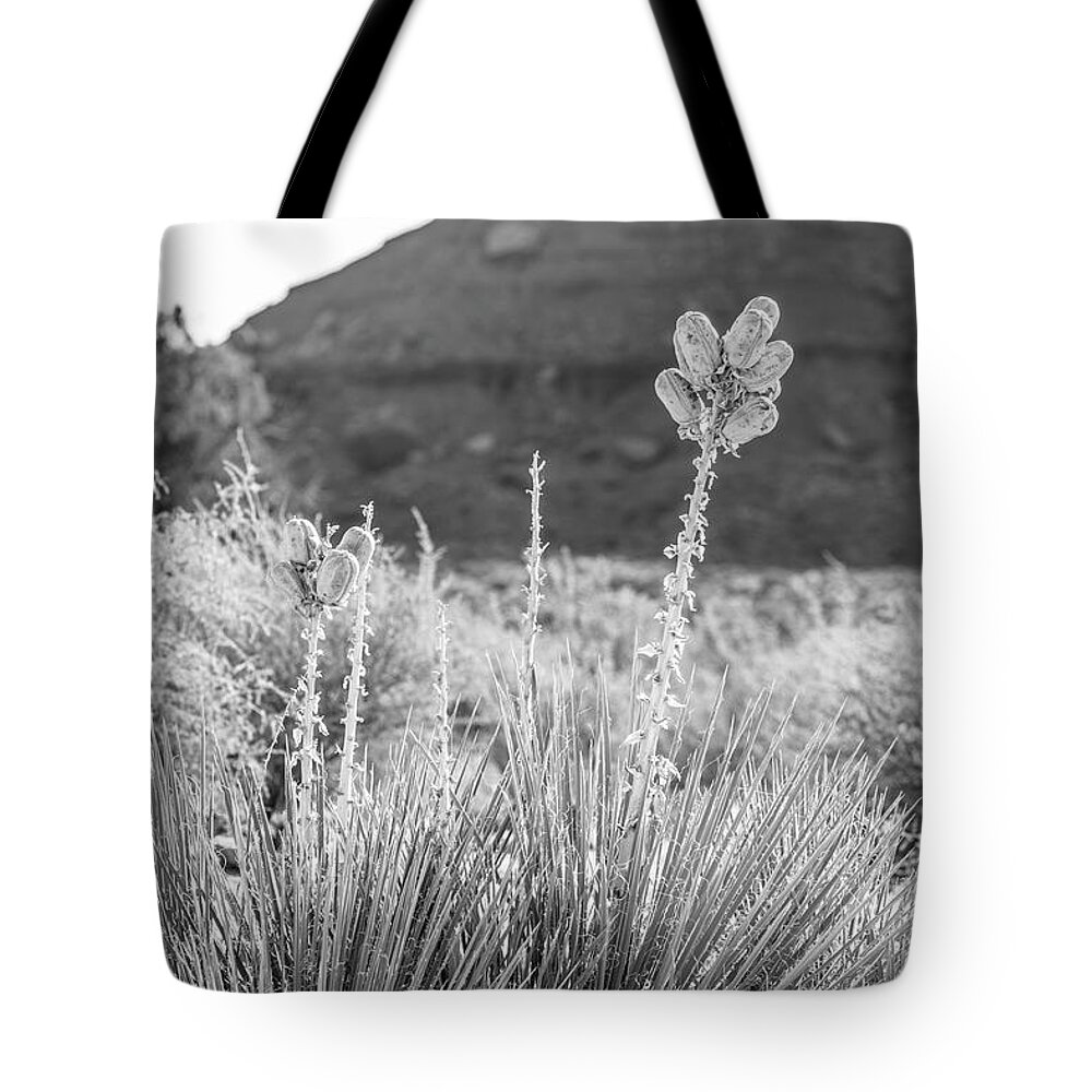 American Landscape Tote Bag featuring the photograph Monument Valley Bud by John McGraw