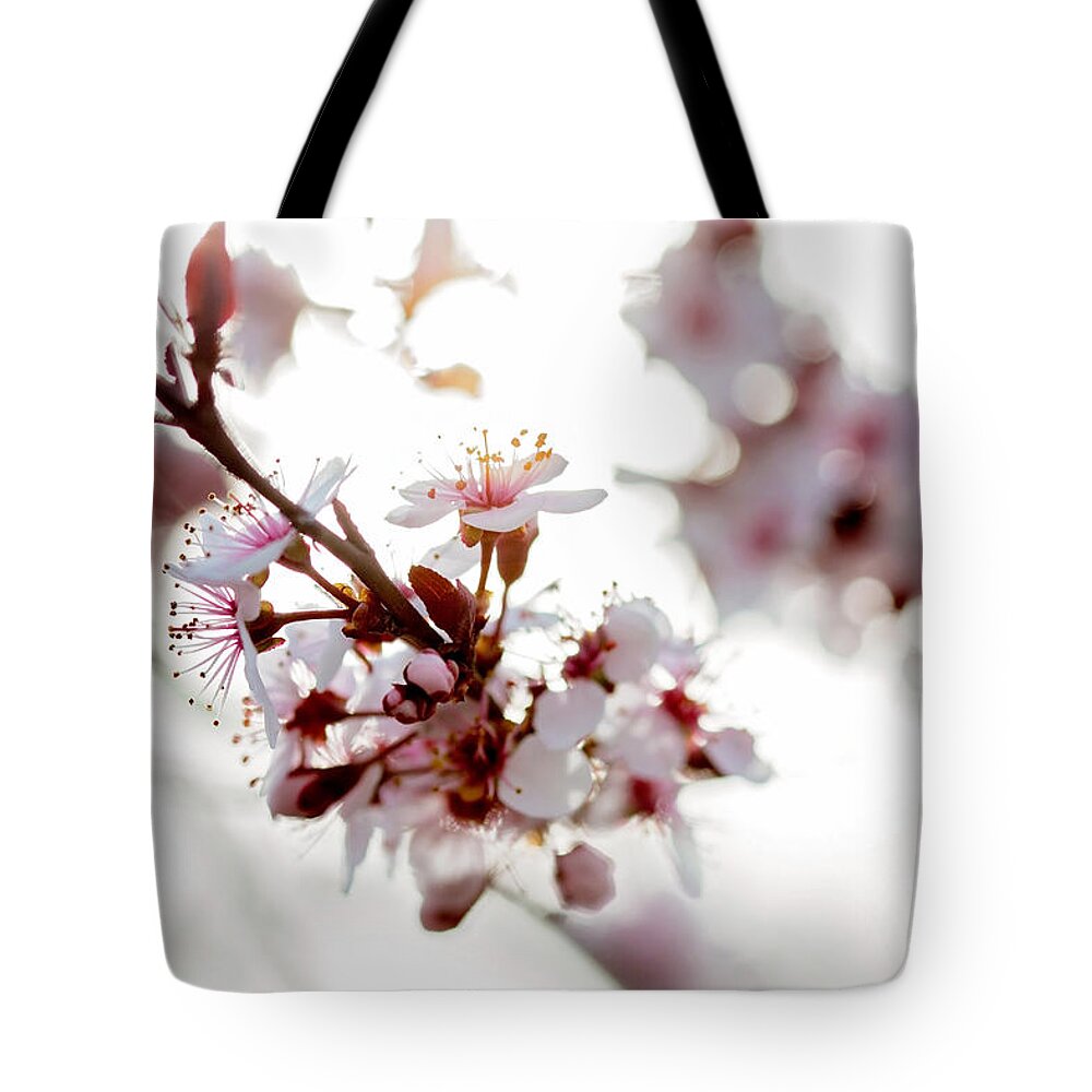 Moody Flare Tote Bag for Sale by Becca Buecher