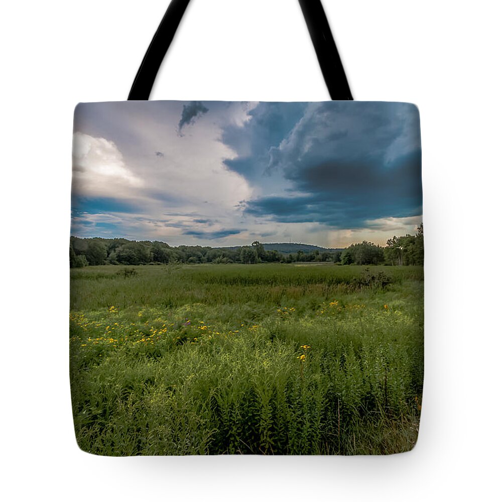Massachusetts Tote Bag featuring the photograph Moody Meadow by Brian MacLean