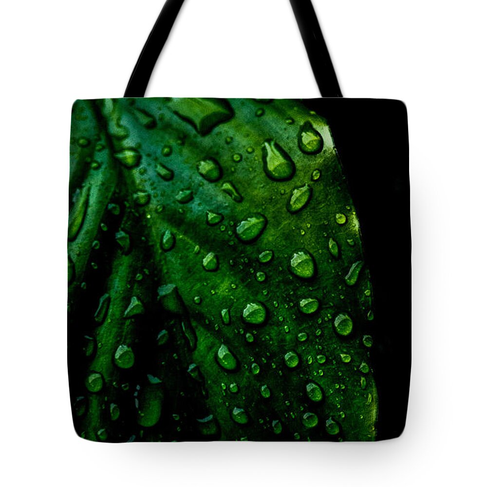 Photographs Tote Bag featuring the photograph Moody Raindrops by Parker Cunningham