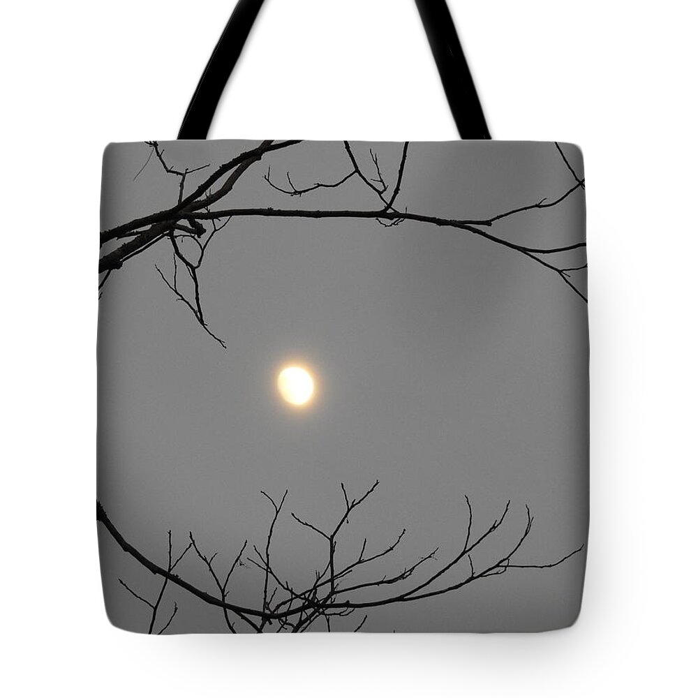 Moon Tote Bag featuring the photograph Moon Embraced by Jan Gelders