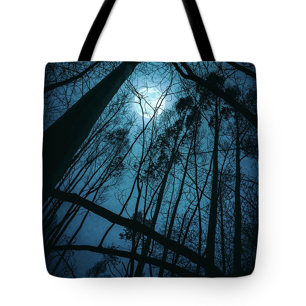 Forest Tote Bag featuring the photograph Moon in the Trees by Carlos Caetano