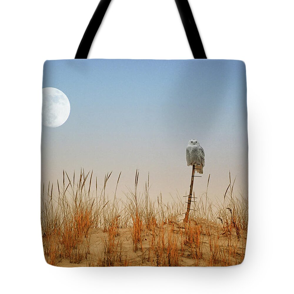 Moon Rise Snowy Owl Tote Bag featuring the photograph Moon Rise Snowy Owl by Raymond Salani III