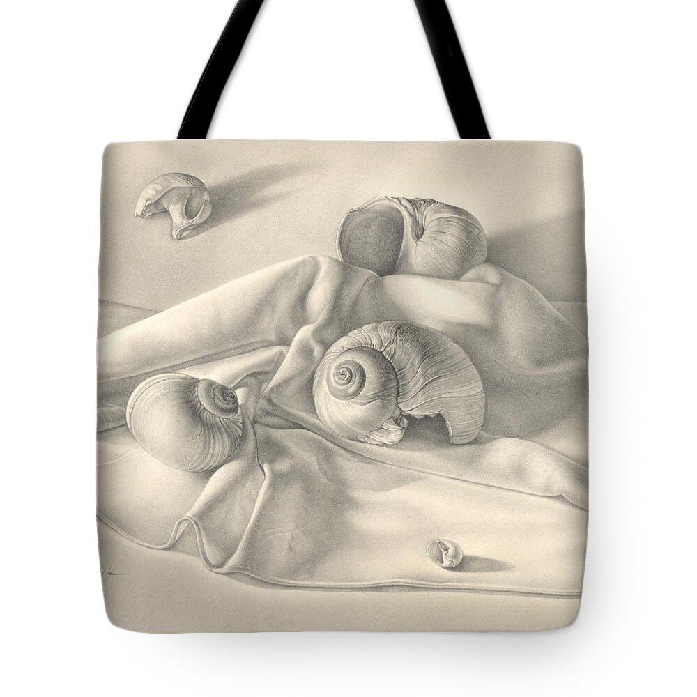 Shells Tote Bag featuring the drawing Moon Snail Still Life by Donna Basile