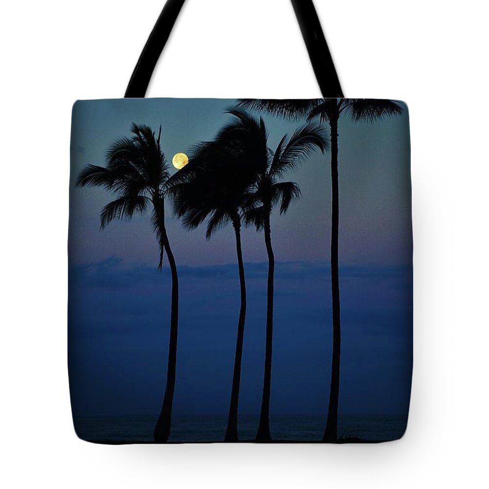 Full Moon Tote Bag featuring the photograph Moonlight Magic by Craig Wood