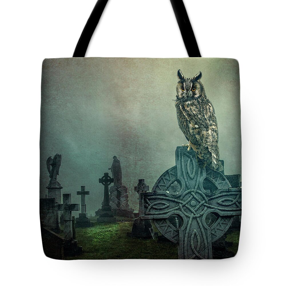 Cemetery Tote Bag featuring the photograph Moonlight Vigil by Brian Tarr