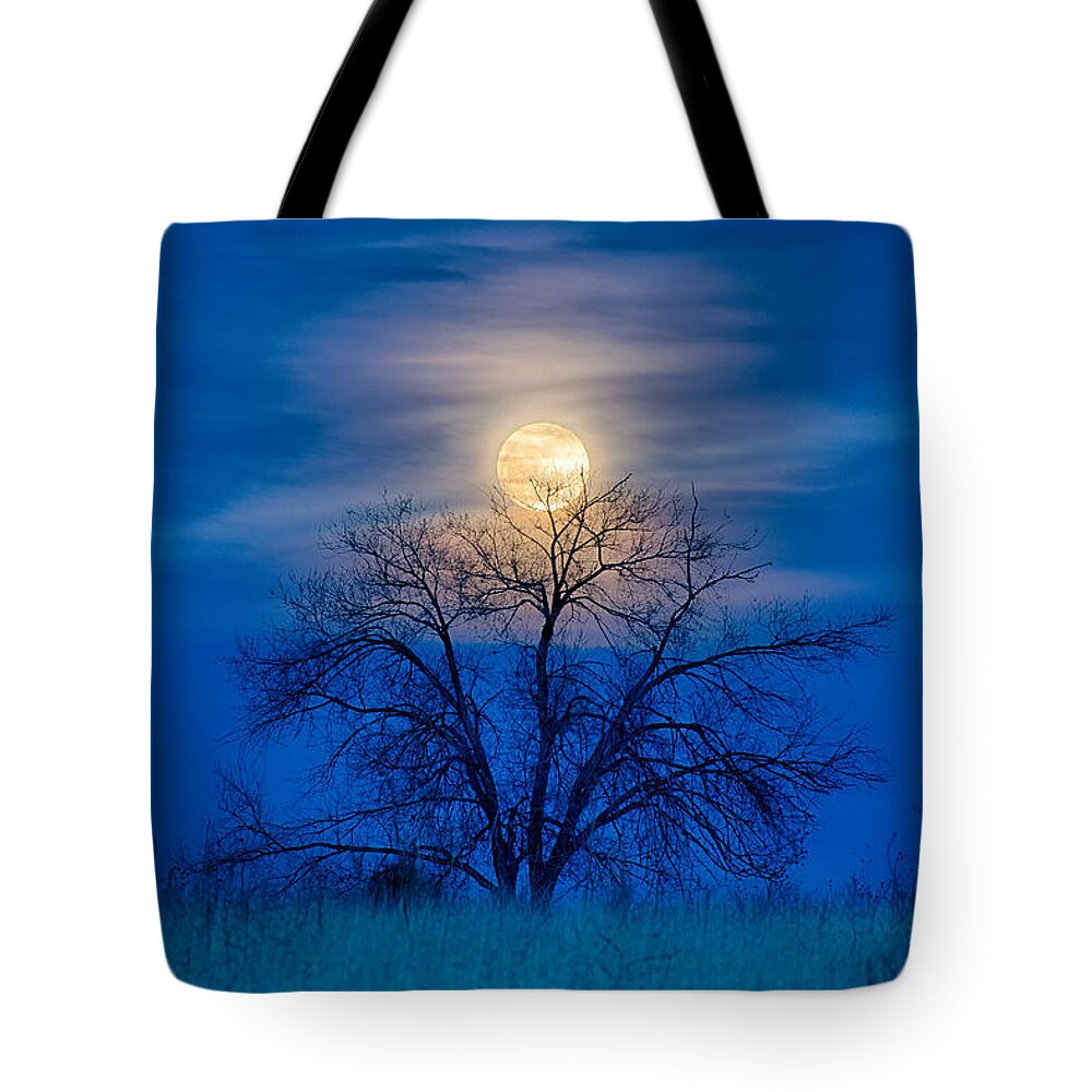 Moon Tote Bag featuring the photograph Moonrise by David Soldano