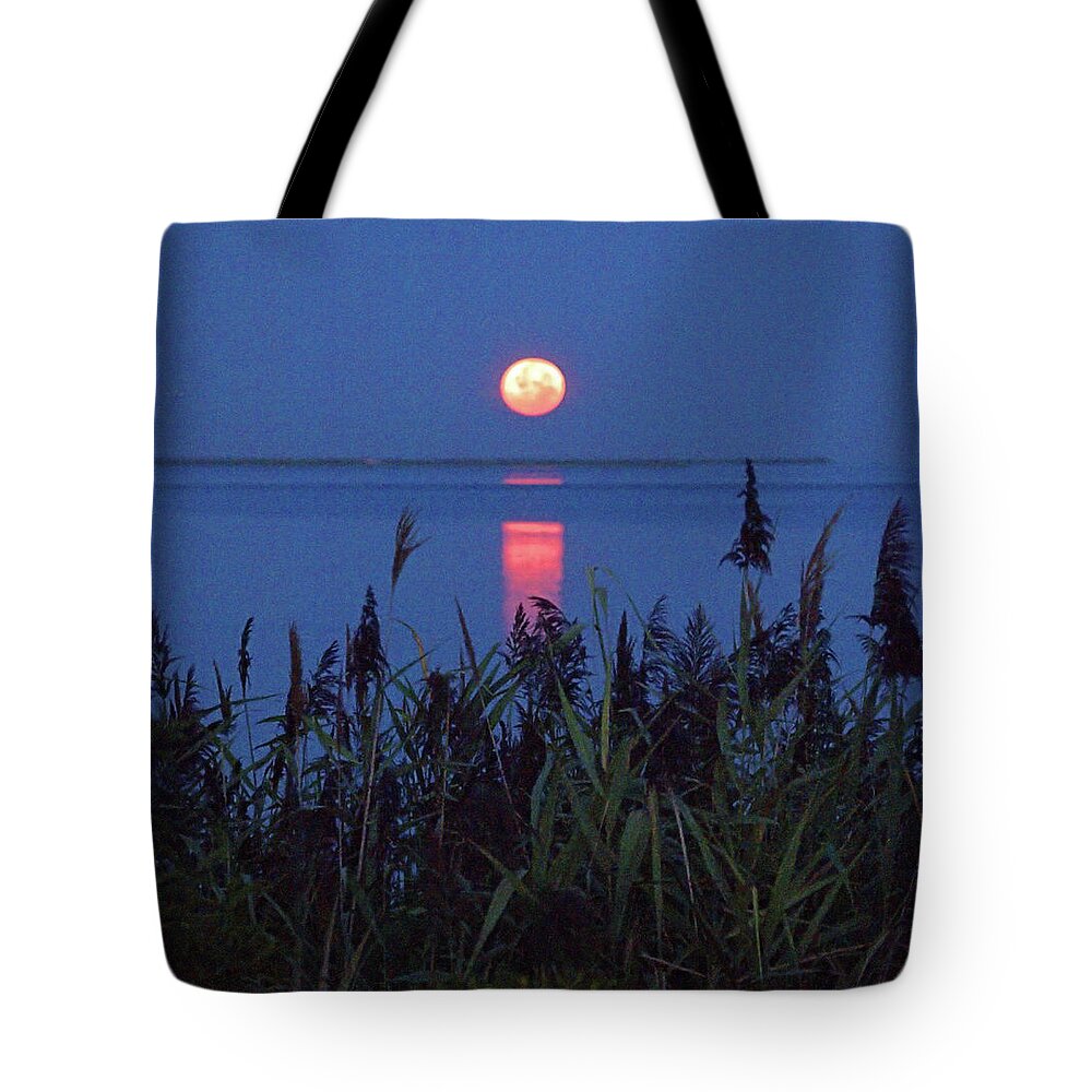 Moonset Tote Bag featuring the photograph Moonset by Newwwman
