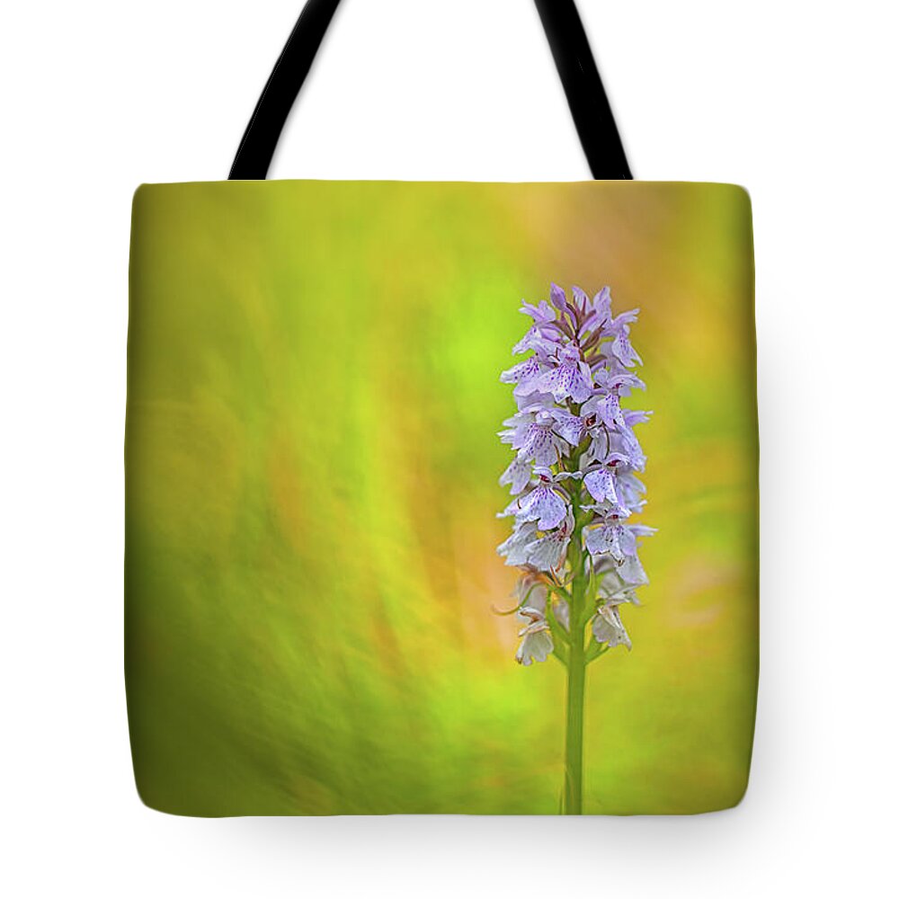 Dof Tote Bag featuring the photograph Moorland spotted orchid - beautiful wild flower by Dirk Ercken