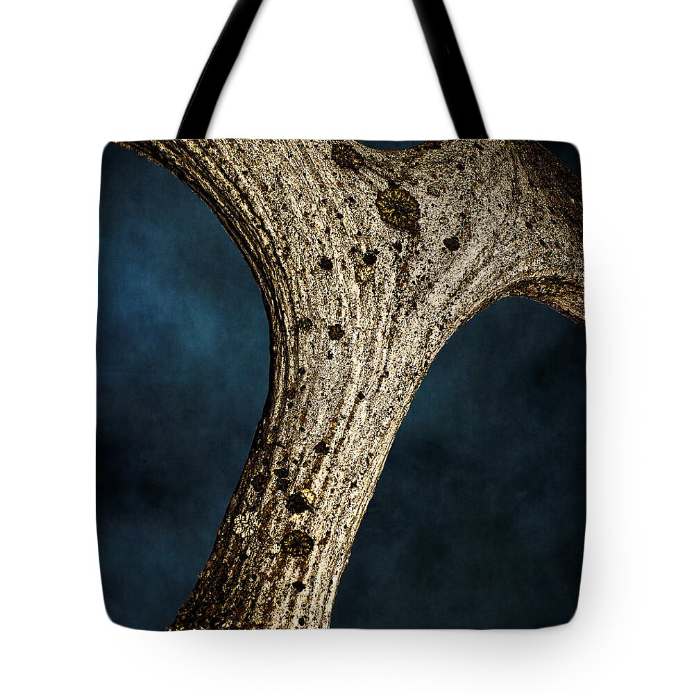 Moose Tote Bag featuring the photograph Moose Horn Curves by Fred Denner