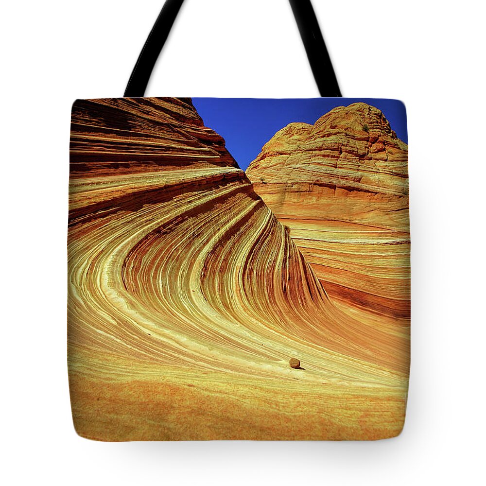 The Wave Tote Bag featuring the photograph Moqui and Wave by Roxie Crouch