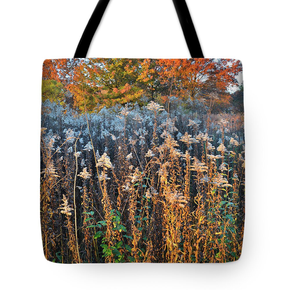 Illinois Tote Bag featuring the photograph Moraine Hills Fall Colors by Ray Mathis