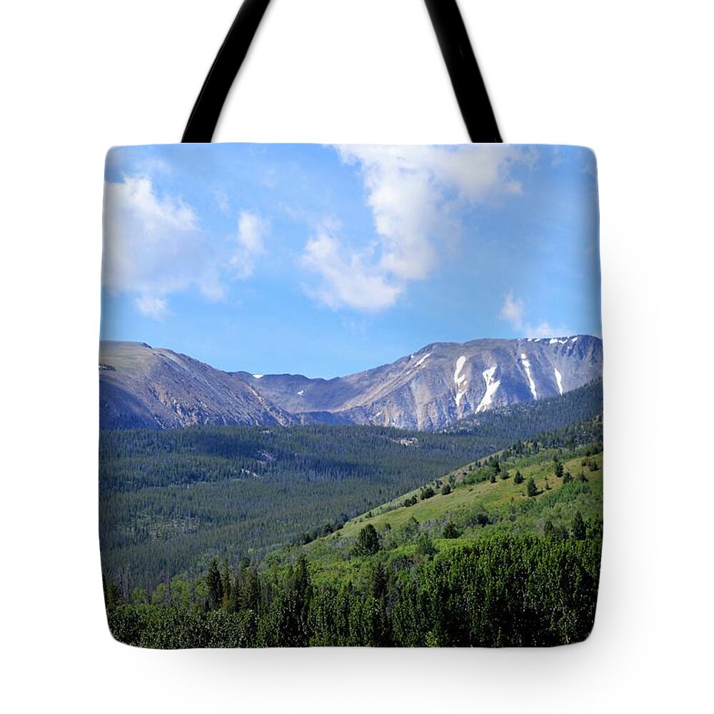 Landscape Tote Bag featuring the photograph More Montana Mountains by Michelle Hoffmann