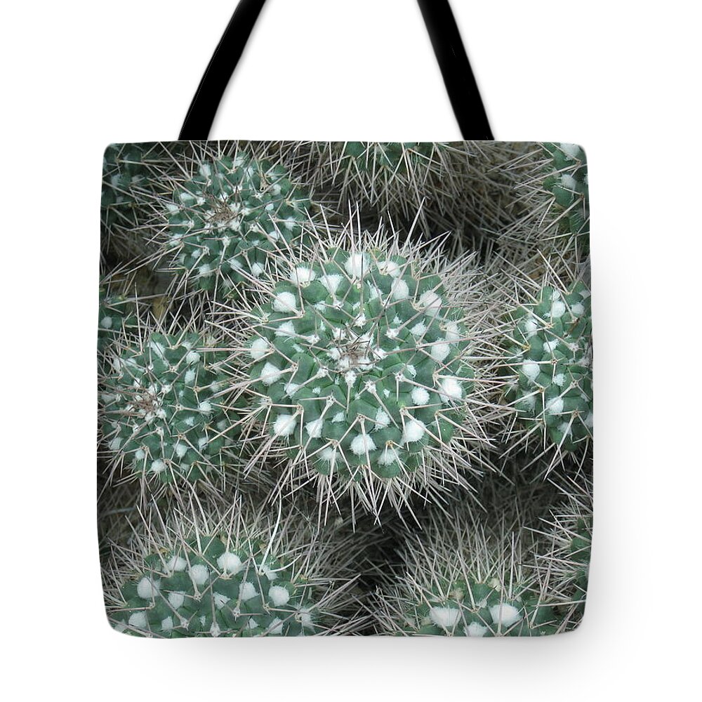  Tote Bag featuring the photograph More Urchins by Ron Monsour
