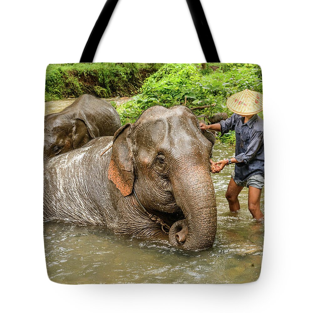 Elephant Tote Bag featuring the photograph Morning Ablutions 4 by Werner Padarin