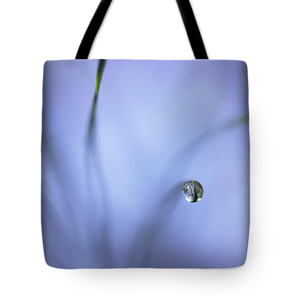 Pine Needles Tote Bag featuring the photograph Morning Among The Pine by Mike Eingle