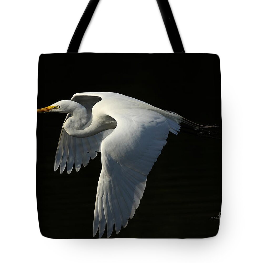 Giant Egret Tote Bag featuring the photograph Morning Beauty by Deborah Benoit