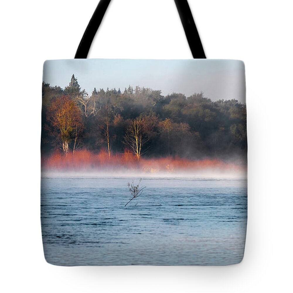 Morning Tote Bag featuring the photograph Morning Beauty by Janet Kopper