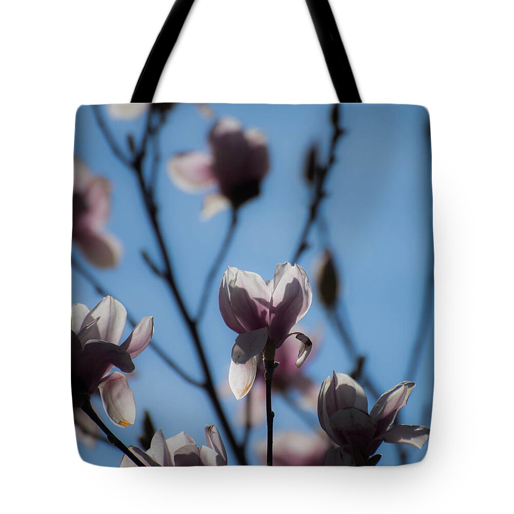 Flowers Tote Bag featuring the photograph Morning Beauty by Wendy Carrington