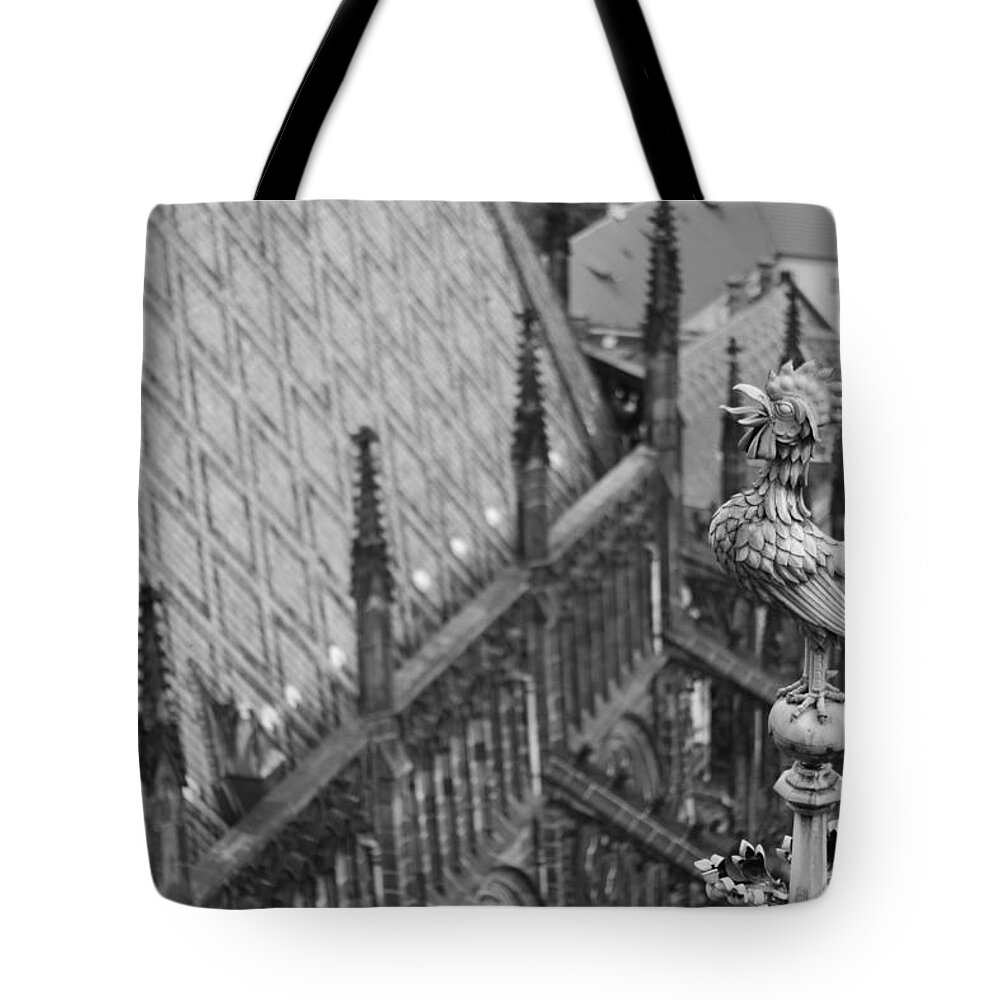 Prague Tote Bag featuring the photograph Morning Bird by Calvin Roberts Photography