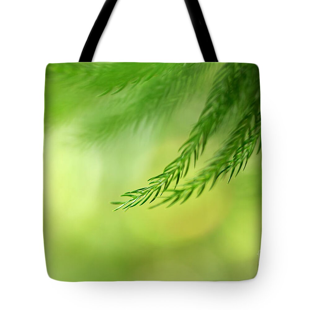 Beve Brown-clark Tote Bag featuring the photograph Morning Bokeh by Beve Brown-Clark Photography